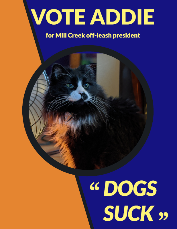 Vote Addie campaign poster