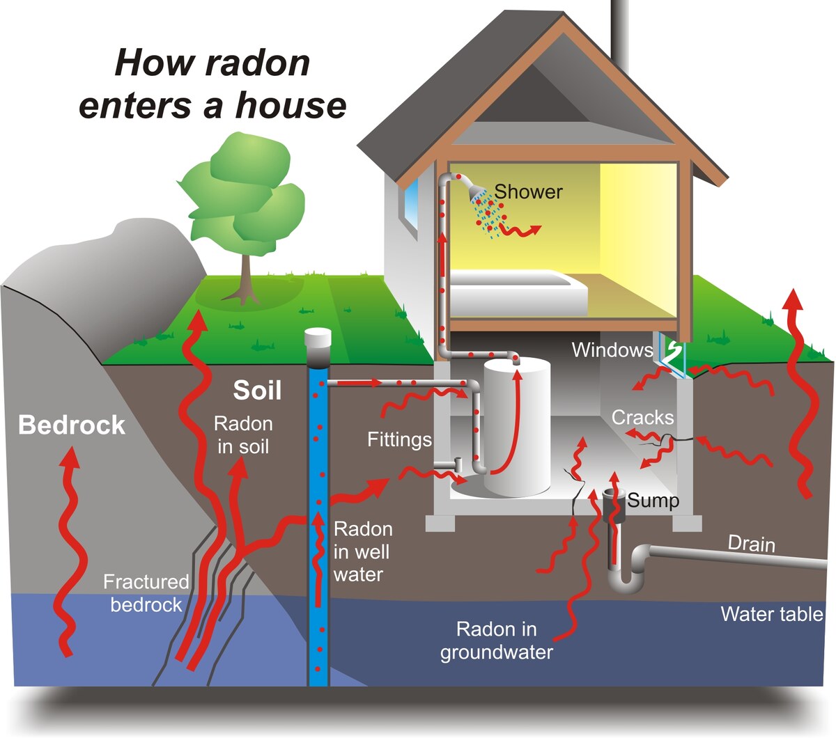 Diagram of how radon enters a house: from bedrock, soil and groundwater, through foundation cracks, fittings, the sump, drains and windows, and from well water into the shower.